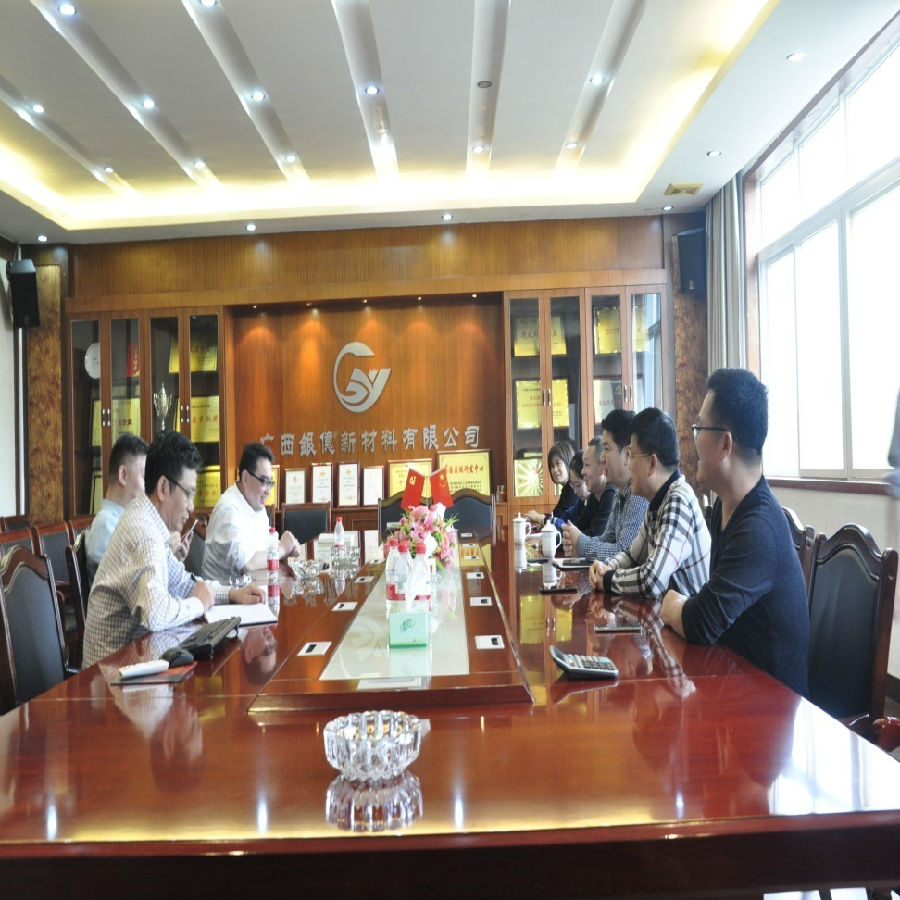 新任市灣辦副主任沈書(shū)賢到廣西銀億開(kāi)展調(diào)研