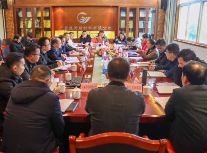 政企合力，共促發(fā)展|玉林市副市長(zhǎng)石紅艷到我司主持召開(kāi)專(zhuān)題研究會(huì)議